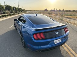 
										2020 Ford Mustang Ecoboost full									