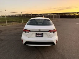 
										Toyota Corolla LE 2020 full									